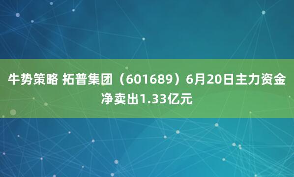 牛势策略 拓普集团（601689）6月20日主力资金净卖出1.33亿元