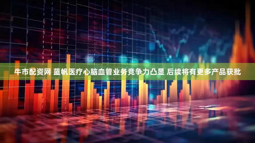 牛市配资网 蓝帆医疗心脑血管业务竞争力凸显 后续将有更多产品获批