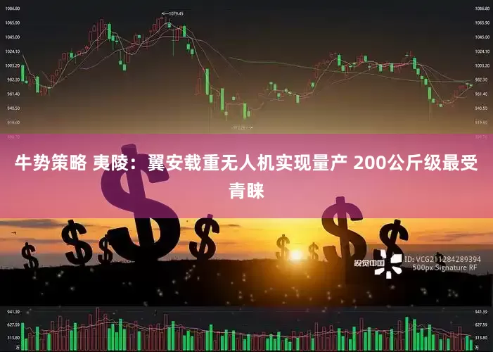 牛势策略 夷陵：翼安载重无人机实现量产 200公斤级最受青睐